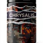 Helping Up Mission Poetry Livre numérique Anglais 108 pages-0