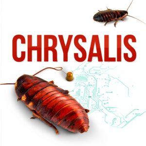 Livre numérique Kindle anglais 39 pages accessibilité-0