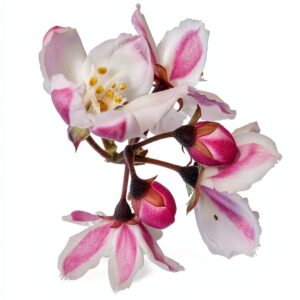 DXRC Conteneur Stockage 10x10x20 cm Organisation Maison-0