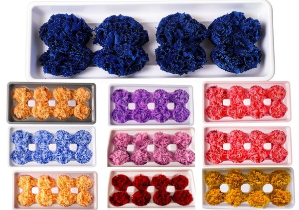 Fleurs préservées ZEYRU œillets décoration mariage carmin