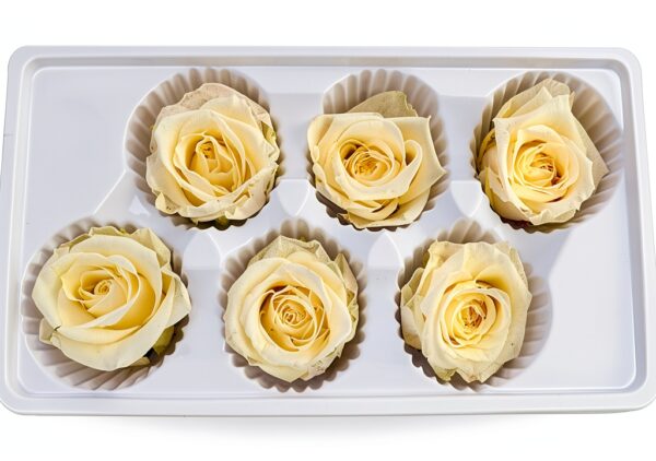 Bodhi2000 Rose préservée rouge carmin cadeau Saint-Valentin-6