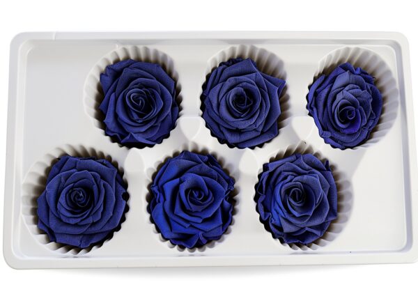 Bodhi2000 Rose préservée rouge carmin cadeau Saint-Valentin-2