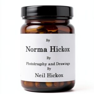 CreateSpace Notebook Anglais 246 pages édition premium-0