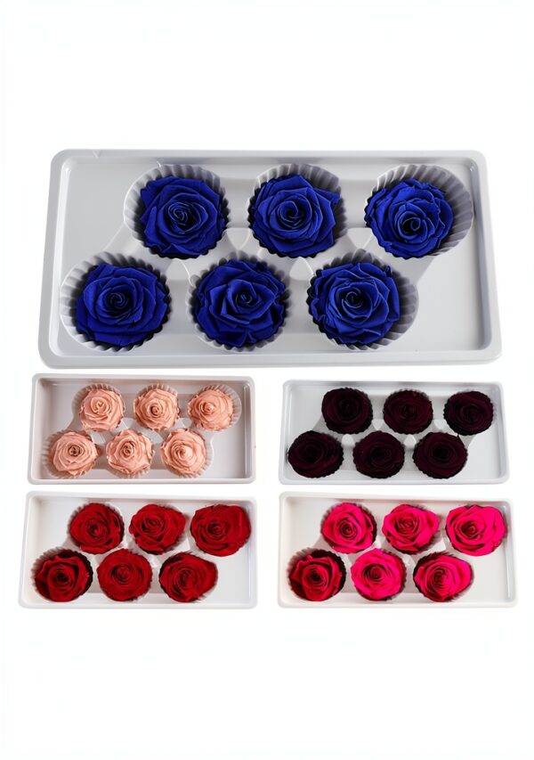 Bodhi2000 Rose préservée rouge carmin cadeau Saint-Valentin-3