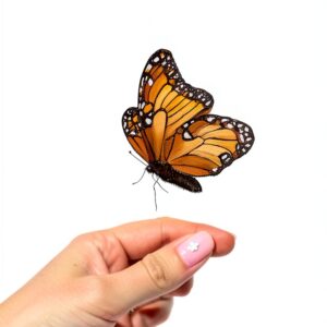 Livre Silversmith Press édition numérique confort lecture-0