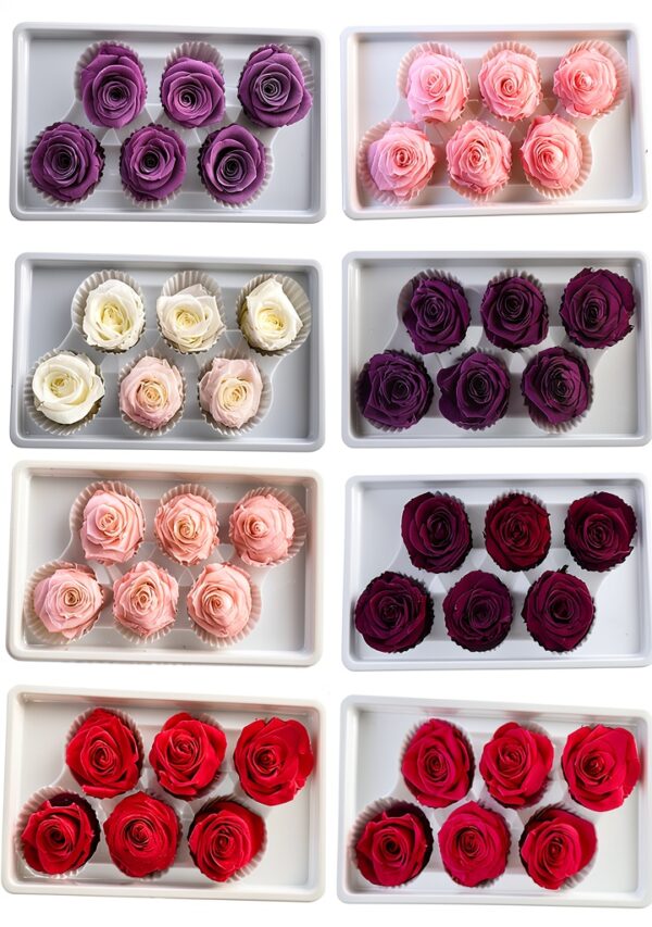 Bodhi2000 Rose préservée rouge carmin cadeau Saint-Valentin-5