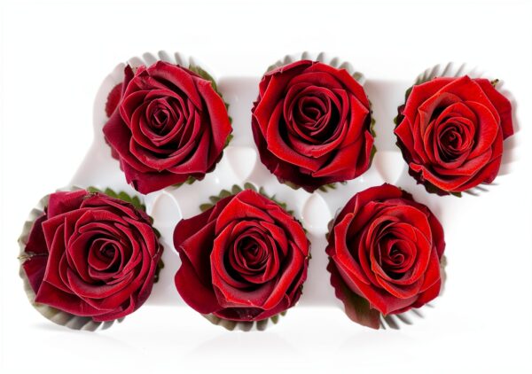 Bodhi2000 Rose préservée rouge carmin cadeau Saint-Valentin-1