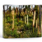 Graines de survie jardin luxe collection complète jardinier-0