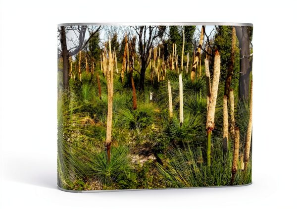 Graines de survie jardin luxe collection complète jardinier-0