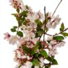 DXRC Conteneur Stockage 10x10x20 cm Organisation Maison-4