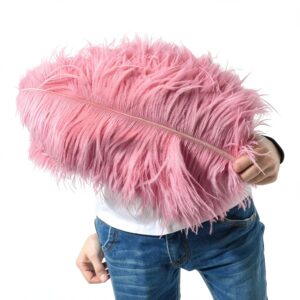 Plumes naturelles OXFYY décoration artisanat rose carmin-0