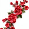 rosemary