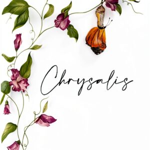 chrysalis rod fisch